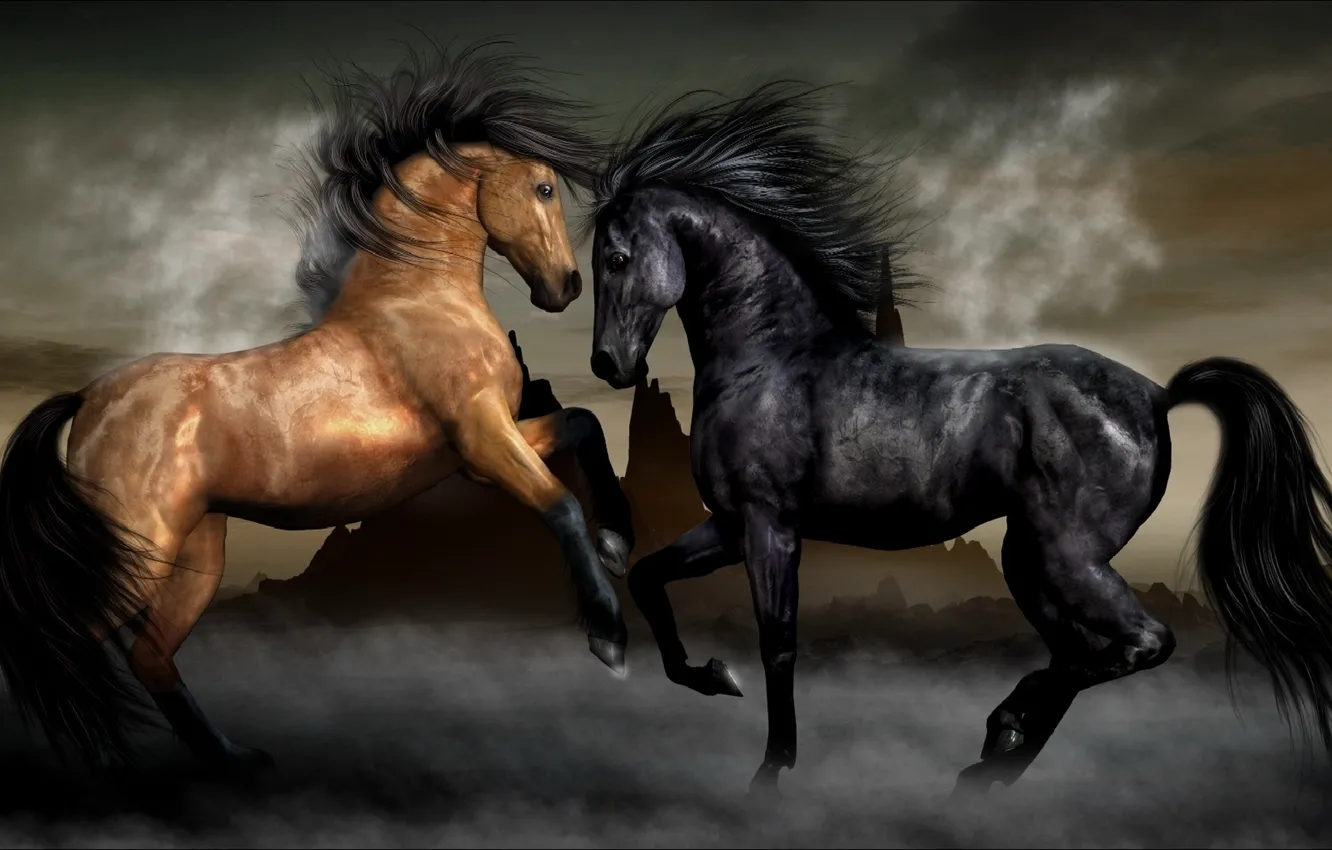 Photo wallpaper fog, horses, horse, pair