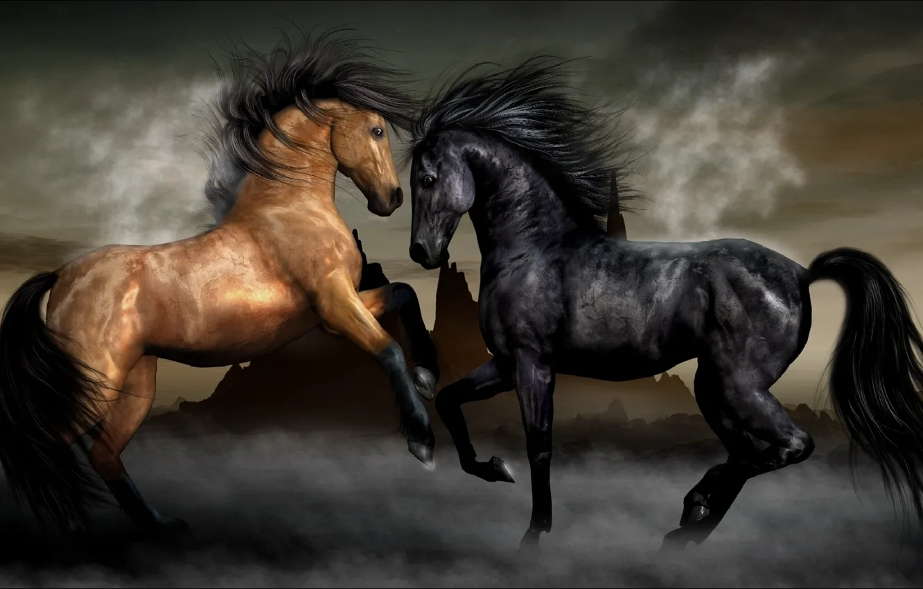 Photo wallpaper fog, horse, horse, pair