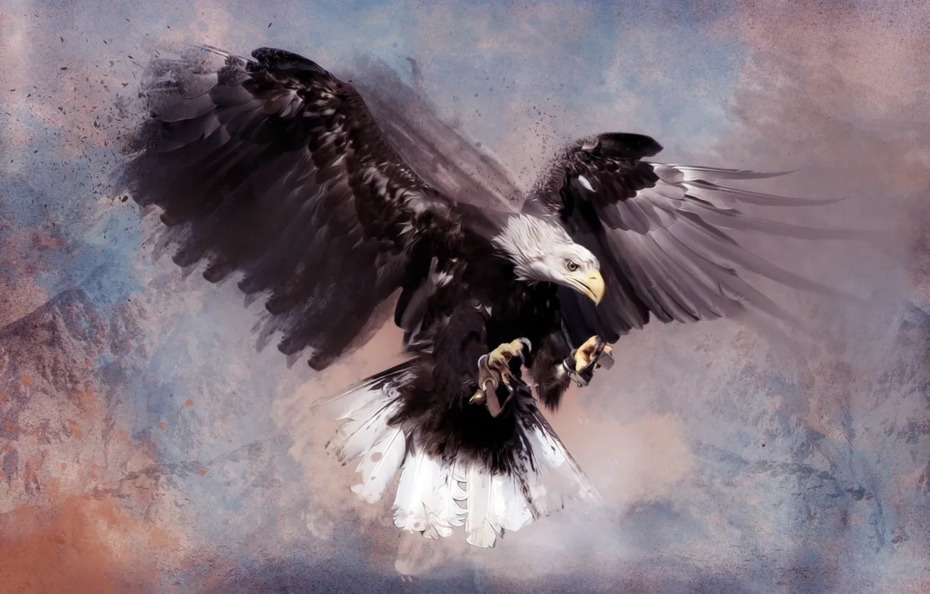 Photo wallpaper bird, eagle, predator, feathers, Predator, bird, feathers, bald eagle