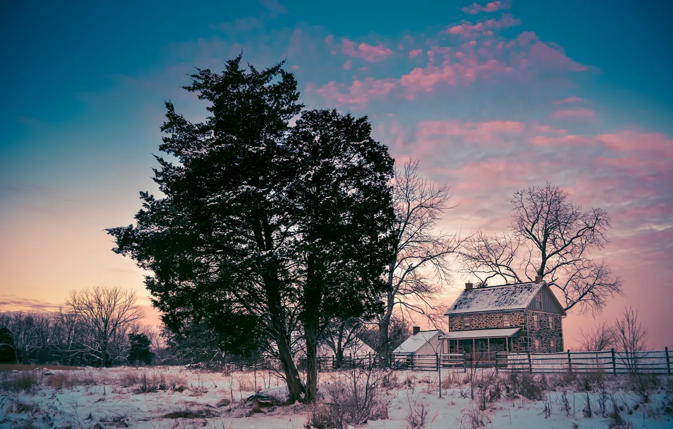 Photo wallpaper winter, field, forest, the sky, clouds, snow, trees, sunset
