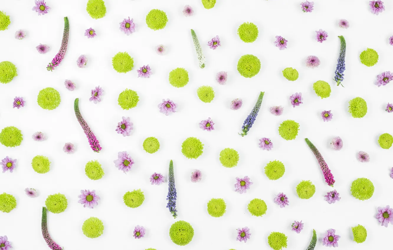 Photo wallpaper flowers, background, pattern, decor, floral