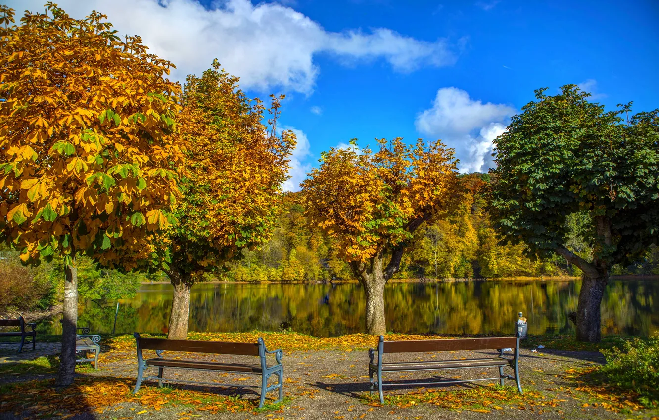 Photo wallpaper autumn, trees, bench, nature, river, photo, Germany