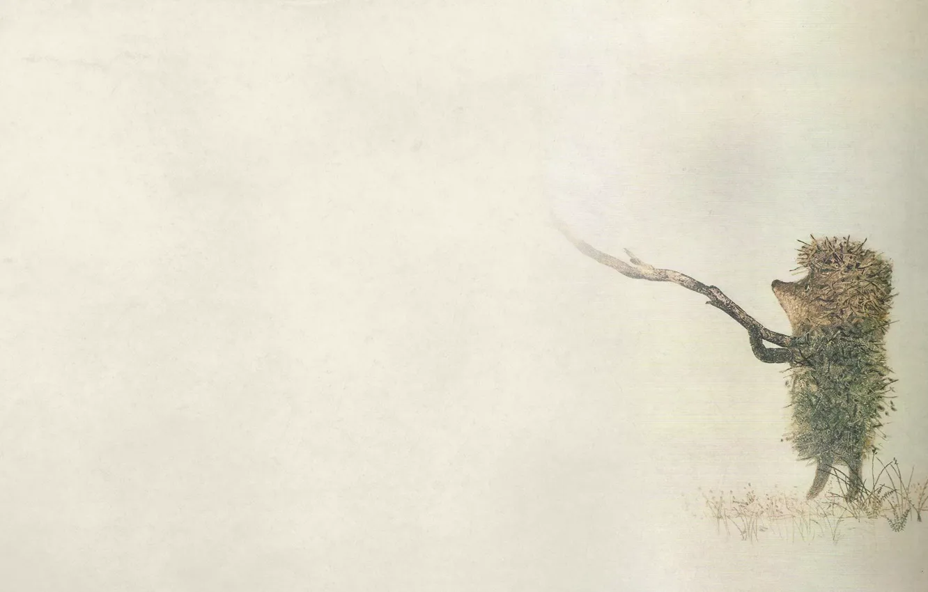 Photo wallpaper fog, minimalism, weed, stick, darkish, hedgehog in the fog