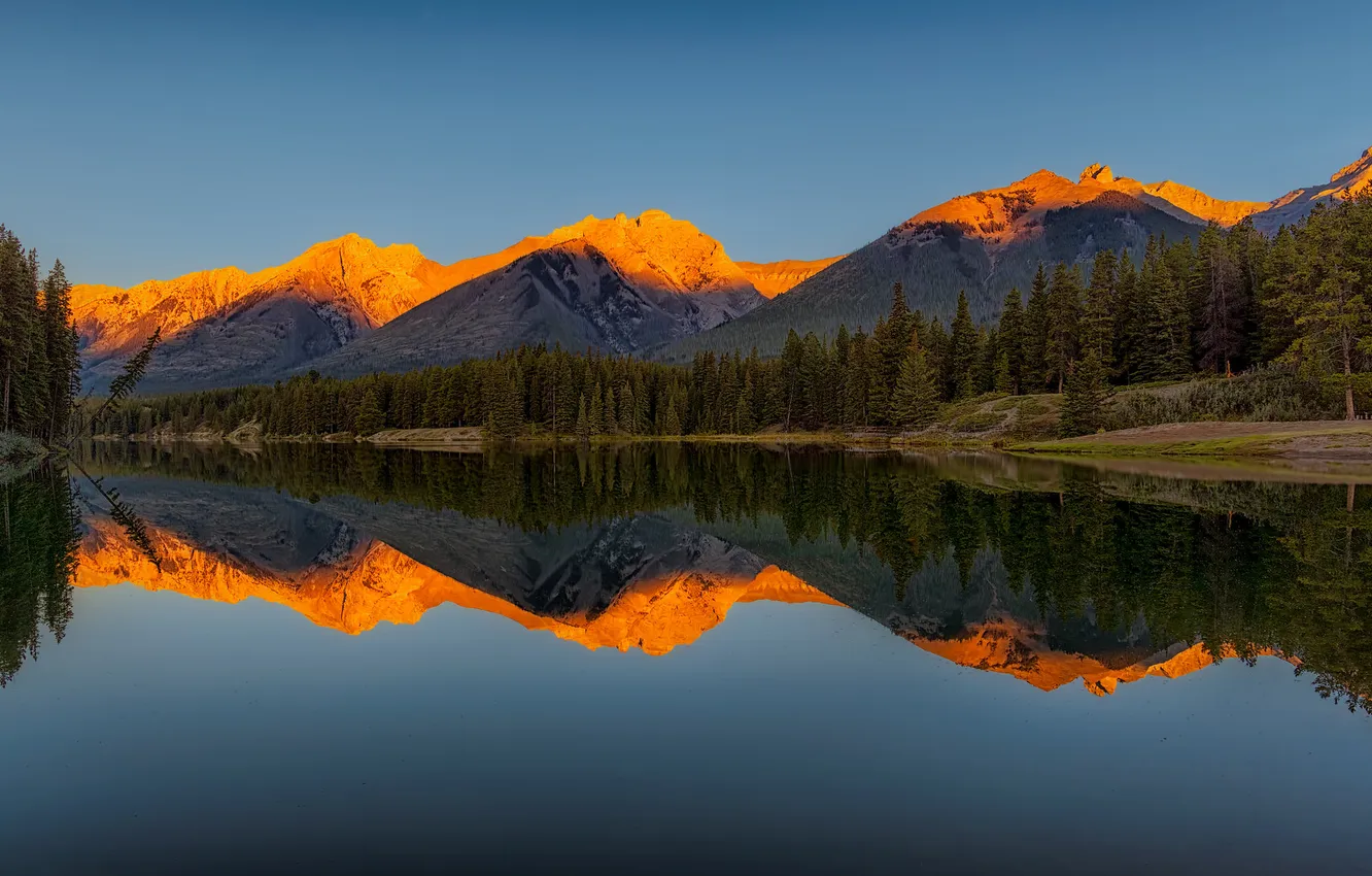 Photo wallpaper forest, the sky, light, mountains, lake, reflection, blue, shore