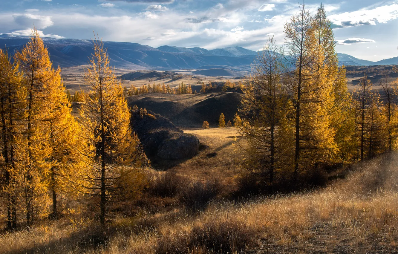 Photo wallpaper autumn, trees, landscape, mountains, nature, hills, Yuri Stolypin