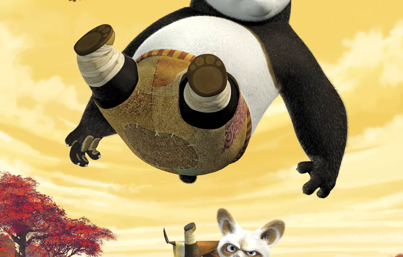 Photo wallpaper Panda, Kung Fu, Master Shifu