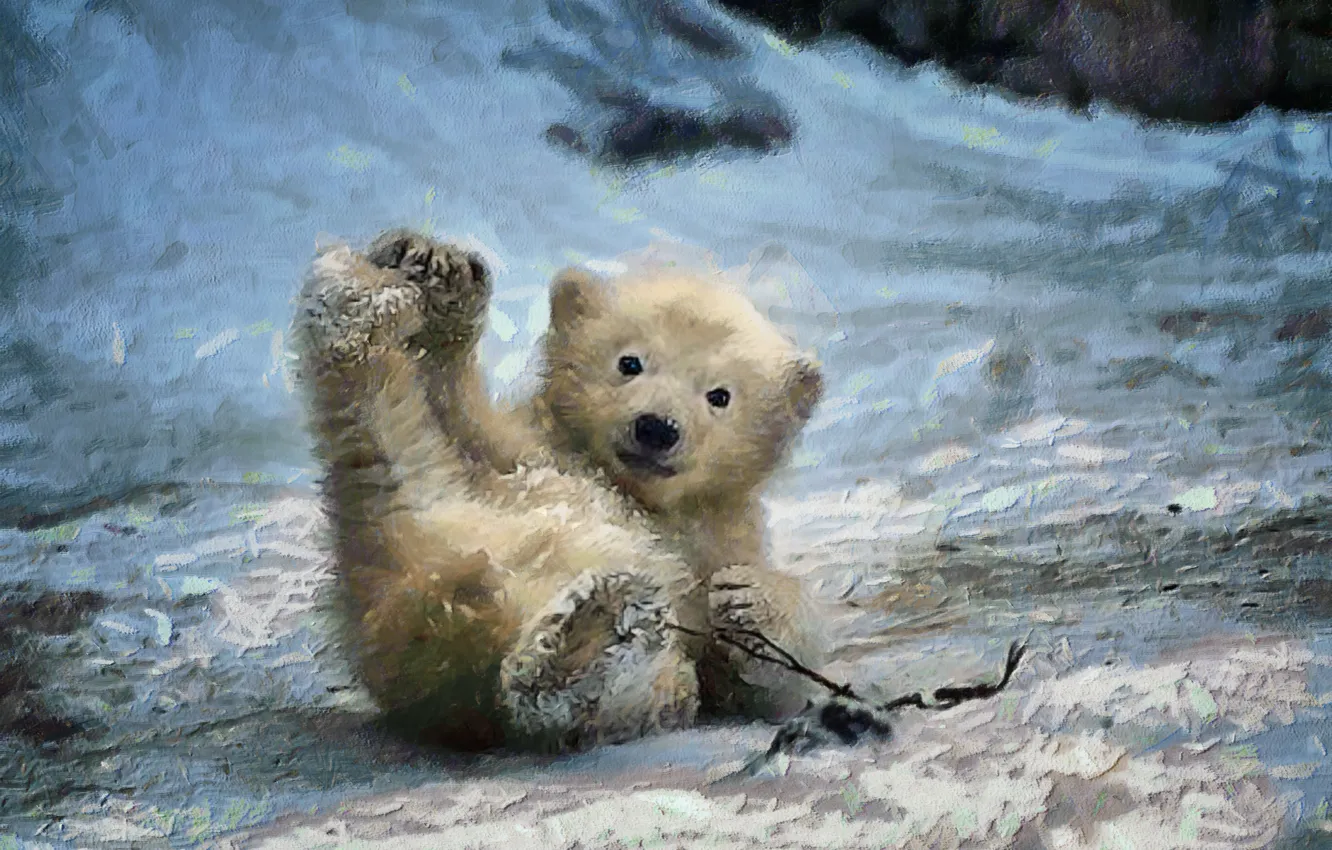 Photo wallpaper winter, background, muzzle, bear