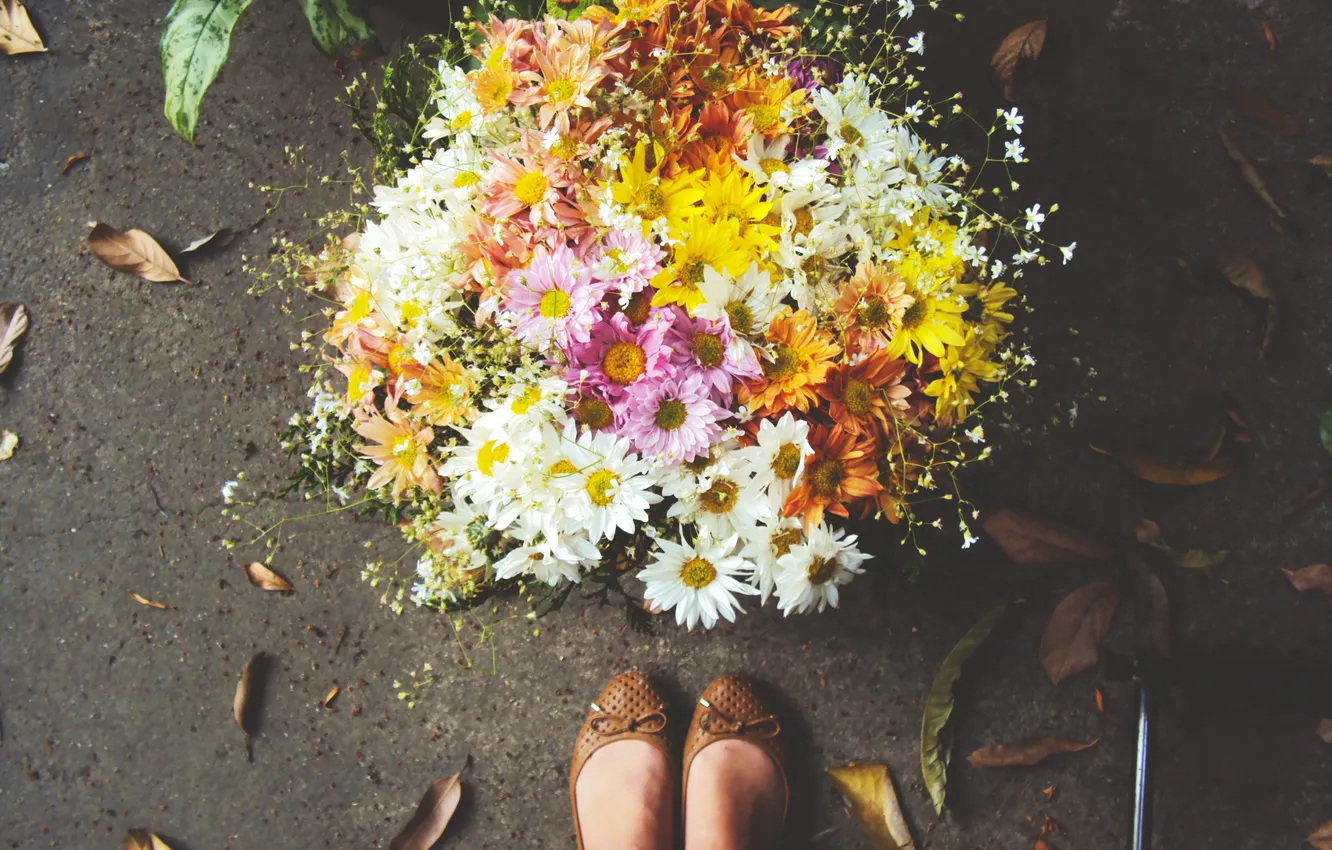 Photo wallpaper flowers, feet, shoes, bouquet, petals, ballet flats