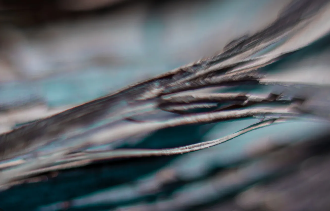 Photo wallpaper trees, turquoise, copper