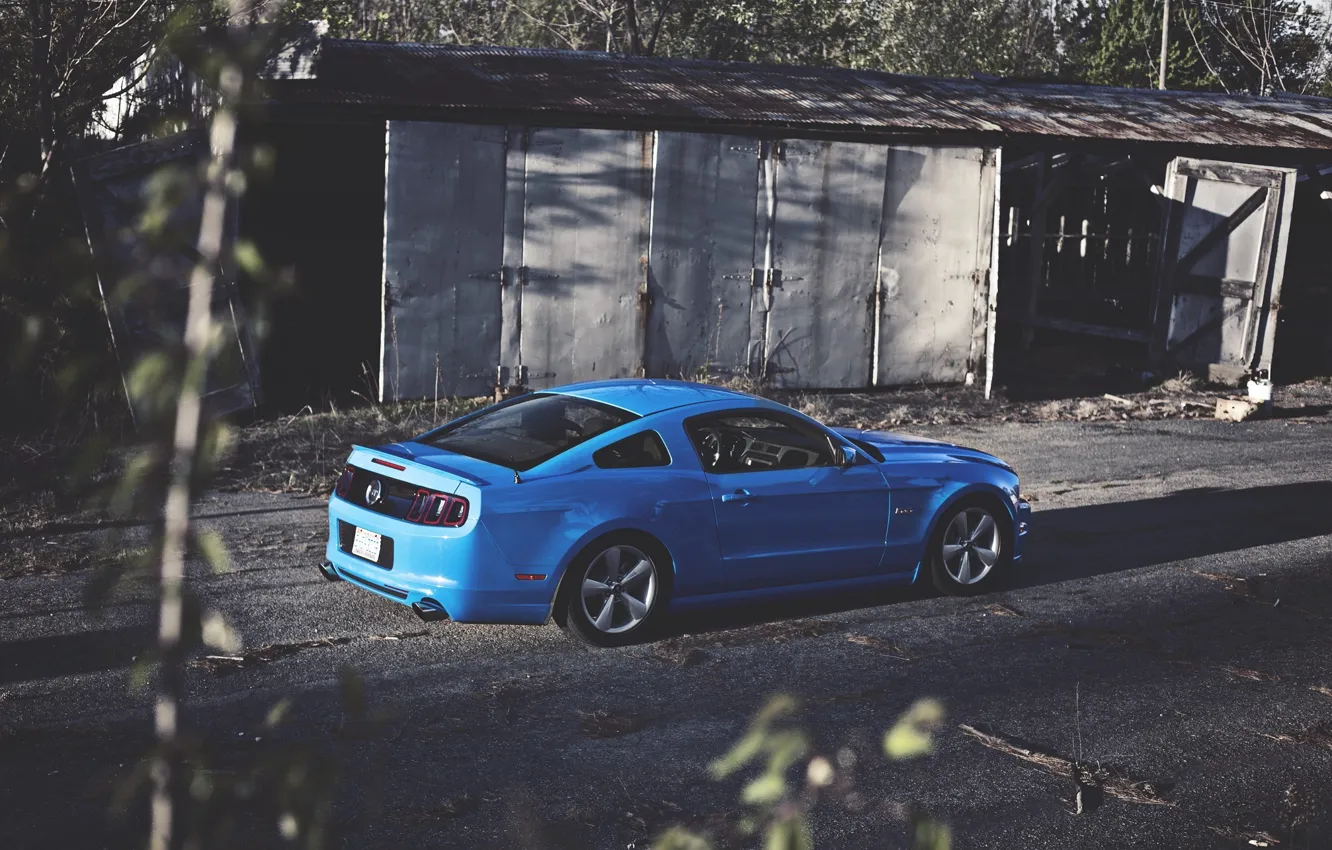 Photo wallpaper Mustang, Ford, Blue, Ass, Ford, Muscle, Mustang, Car