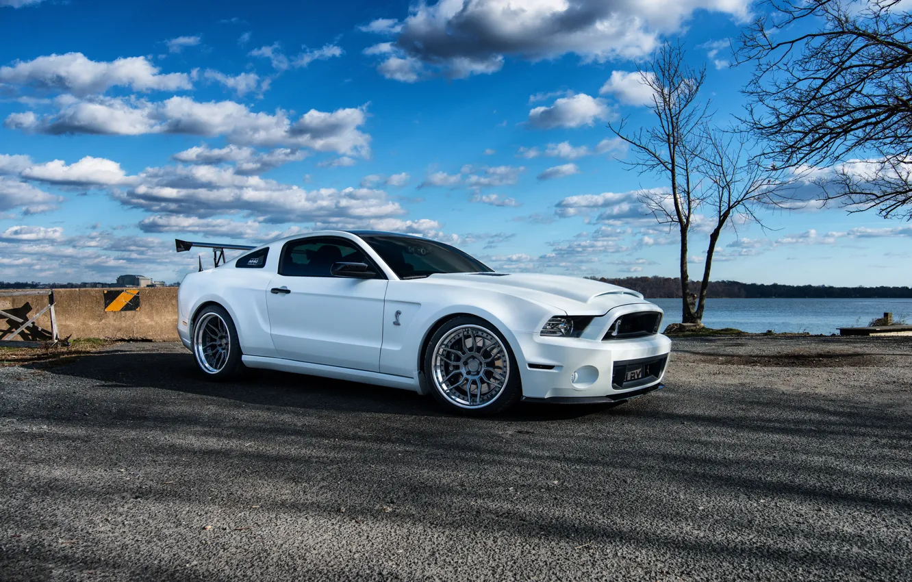 Photo wallpaper GT500, Wheels, FORD, Niche, SHELBY, Whute