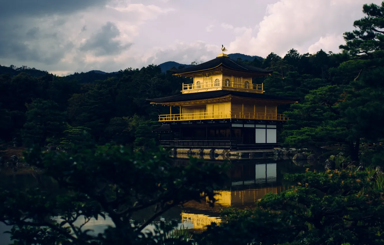 Photo wallpaper Japan, forest, Kyoto, sky, trees, nature, yellow, clouds