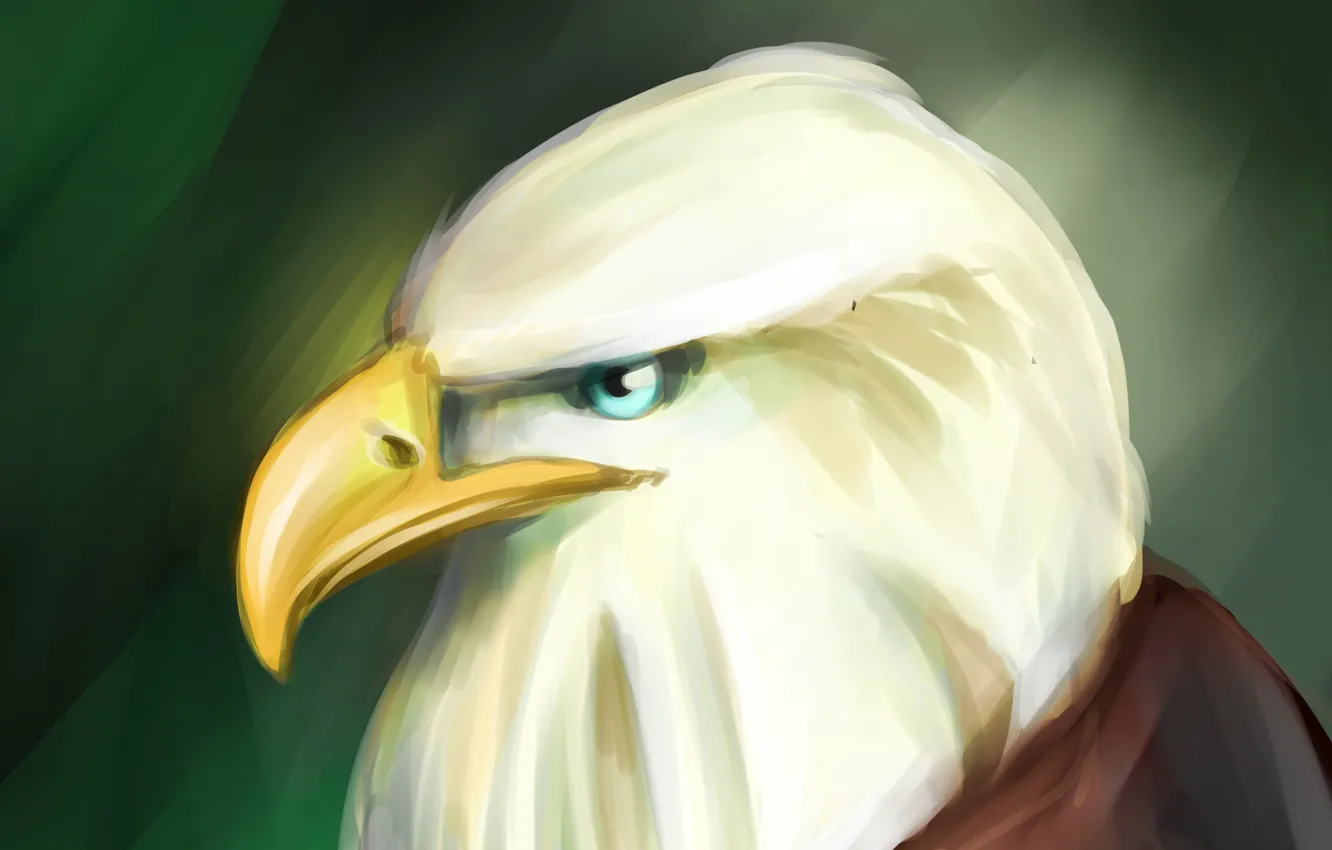Photo wallpaper eagle, art, art, eagle