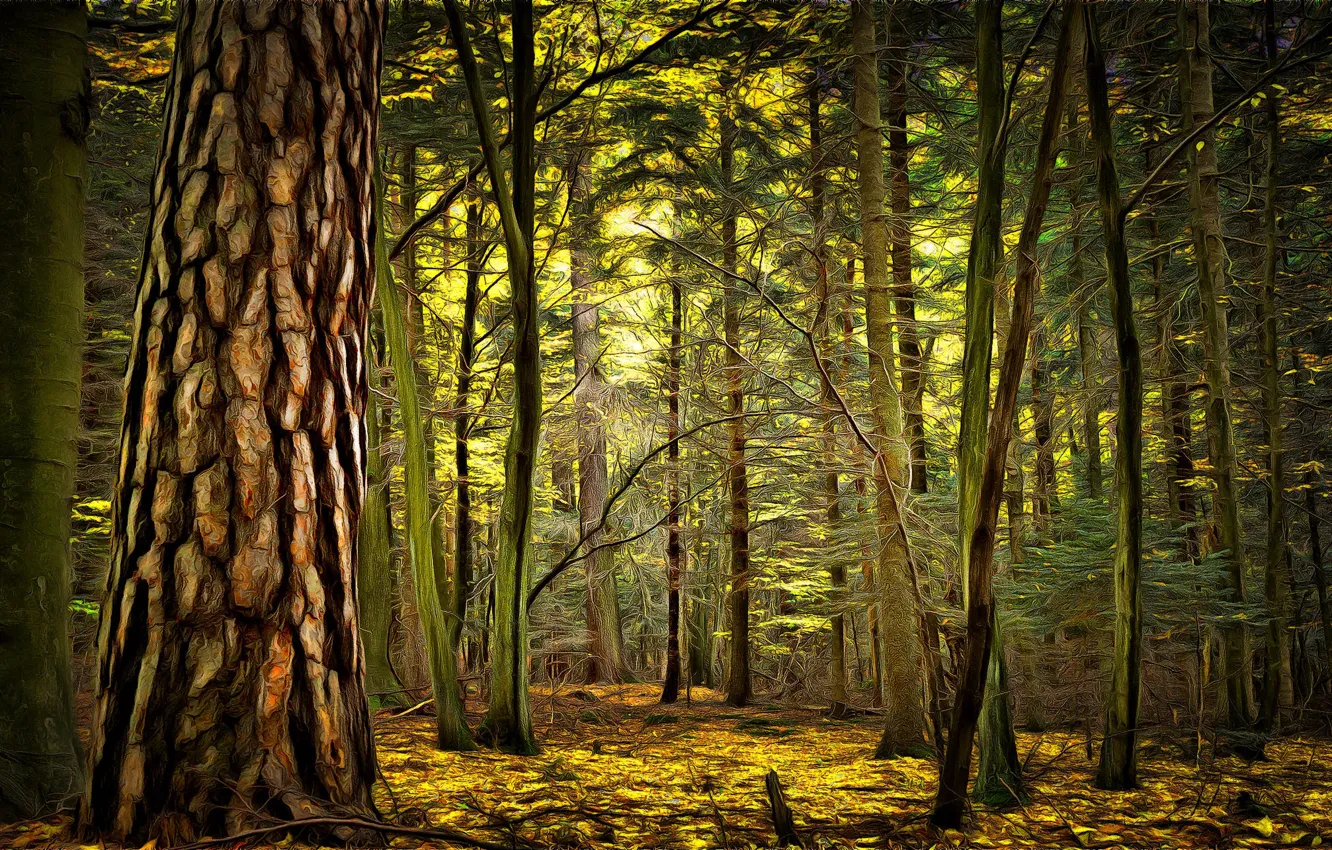 Photo wallpaper autumn, forest, digital painting