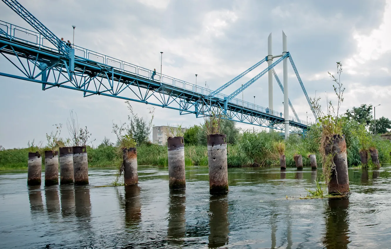 Photo wallpaper bridge, river, old piles