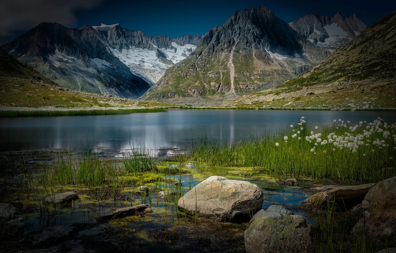 Photo wallpaper grass, landscape, mountains, nature, lake, stones, Switzerland