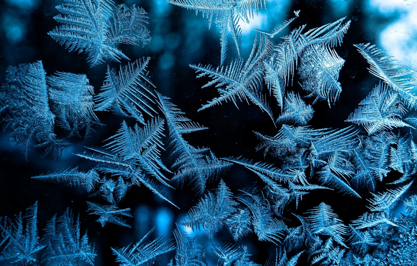 Photo wallpaper Winter, Pattern, Frost