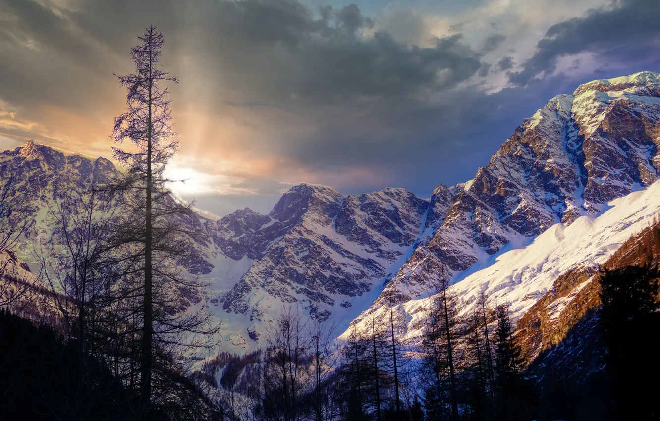 Photo wallpaper winter, forest, the sky, the sun, clouds, rays, light, snow