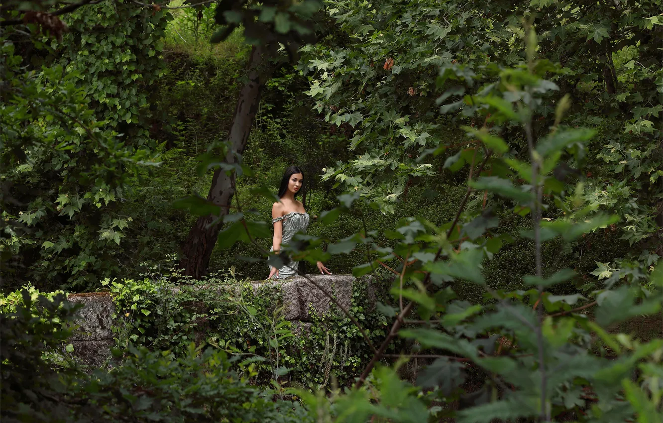 Photo wallpaper forest, trees, nature, model, Aria, countryside, gorgeous, posing