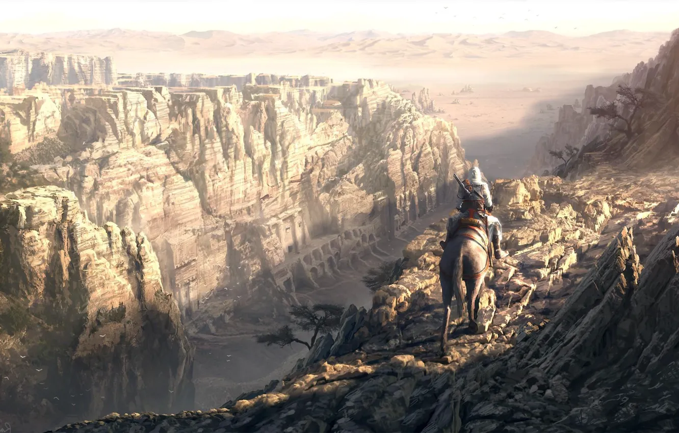 Photo wallpaper horse, gorge, assassins creed