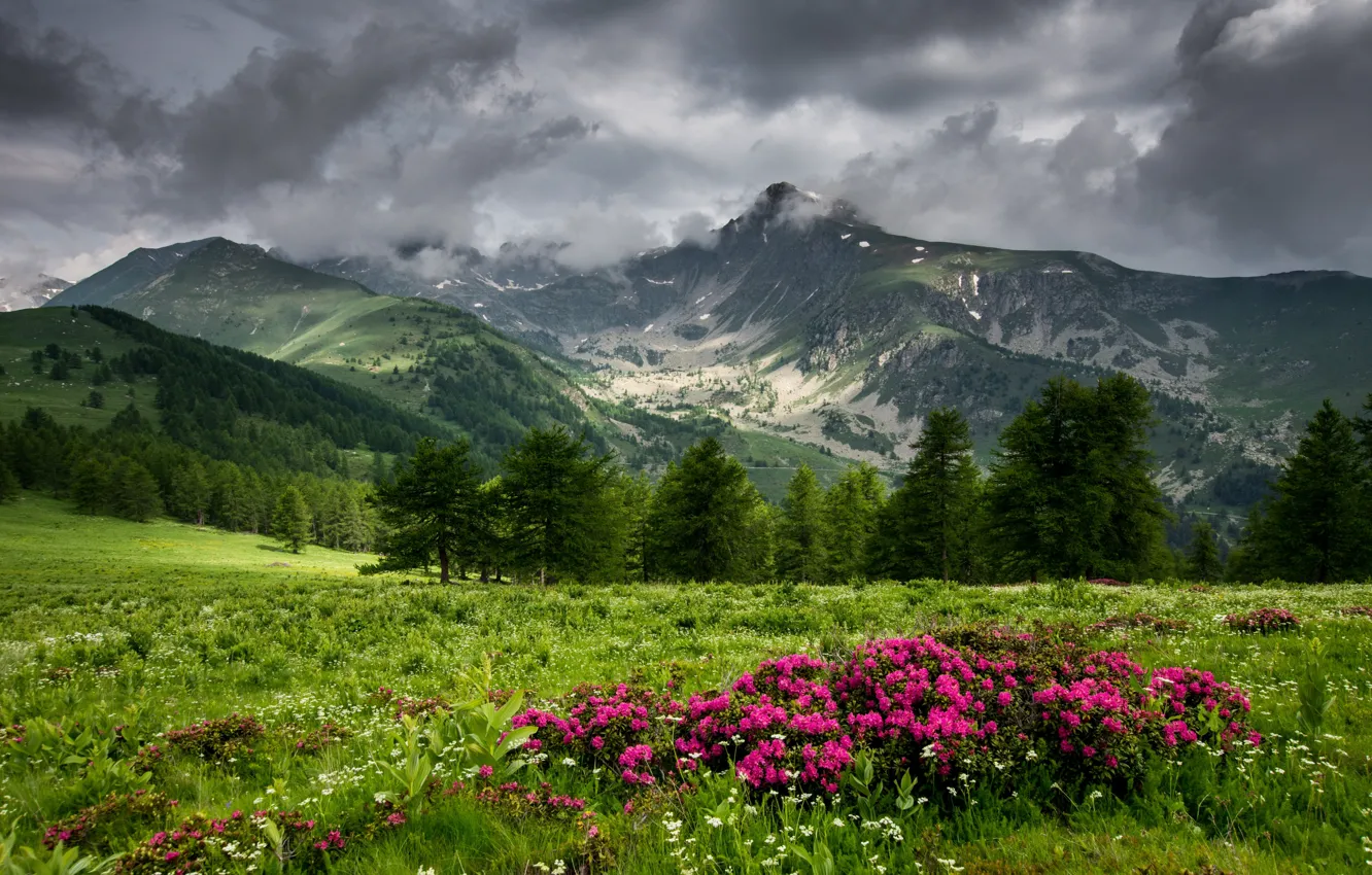 Photo wallpaper mountains, clouds, Azalea