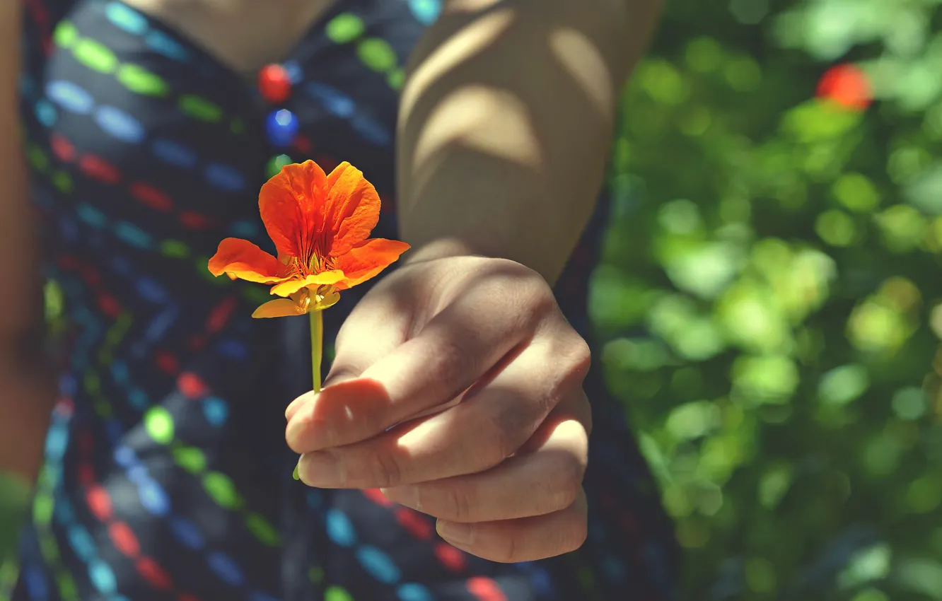Photo wallpaper flower, girl, hand