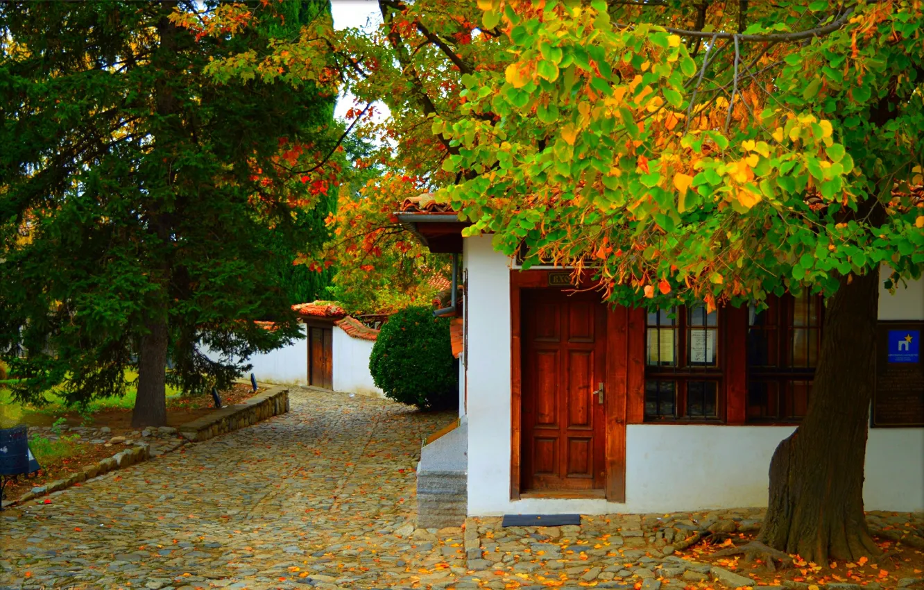 Photo wallpaper Autumn, House, Fall, Foliage, Autumn, Yard, Leaves
