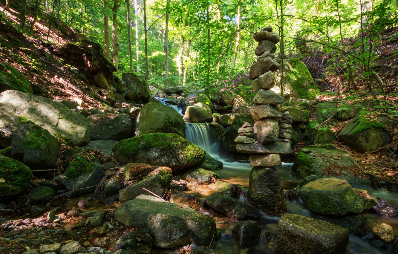 Photo wallpaper forest, stream, stones, moss, Germany, Stecklenberg