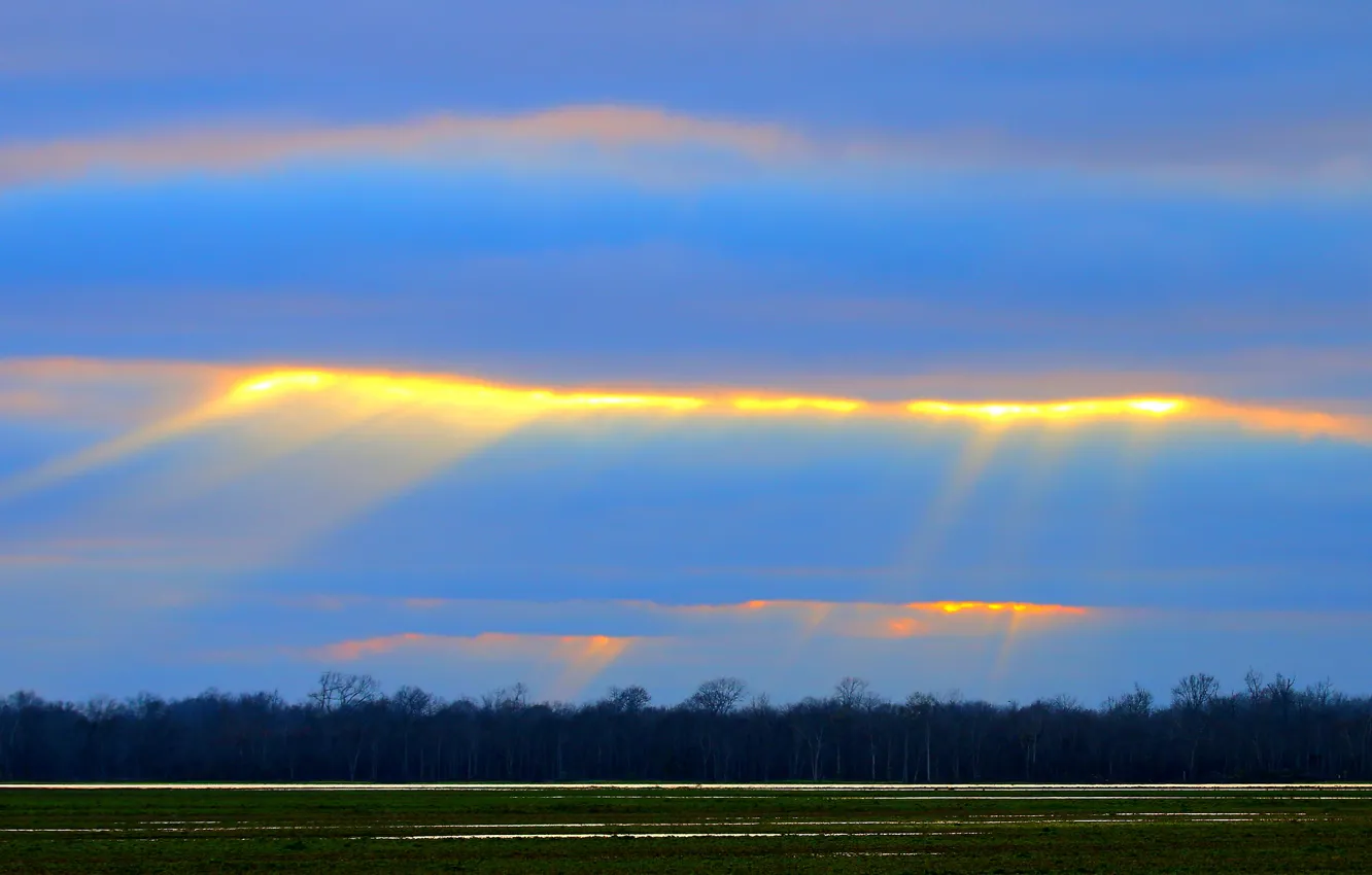 Photo wallpaper field, the sky, clouds, rays, trees
