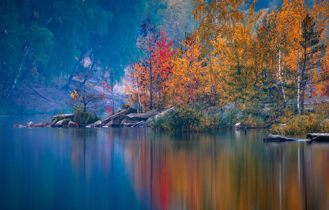 Photo wallpaper autumn, trees, Russia, pond, Moscow oblast, Paul Narikov