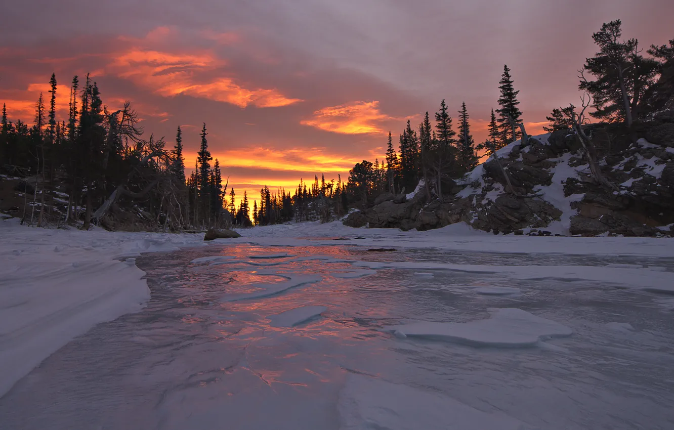Photo wallpaper winter, forest, sunset, nature, river, ice