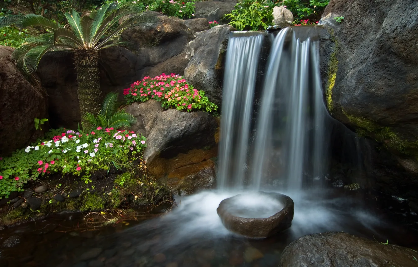 Photo wallpaper flowers, Palma, stream, stones, waterfall, garden, cascade, Petunia
