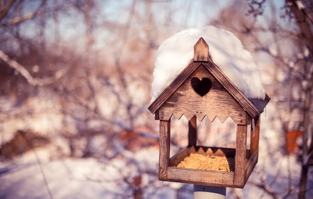Photo wallpaper winter, snow, trees, branches, nature, grain, birdhouse