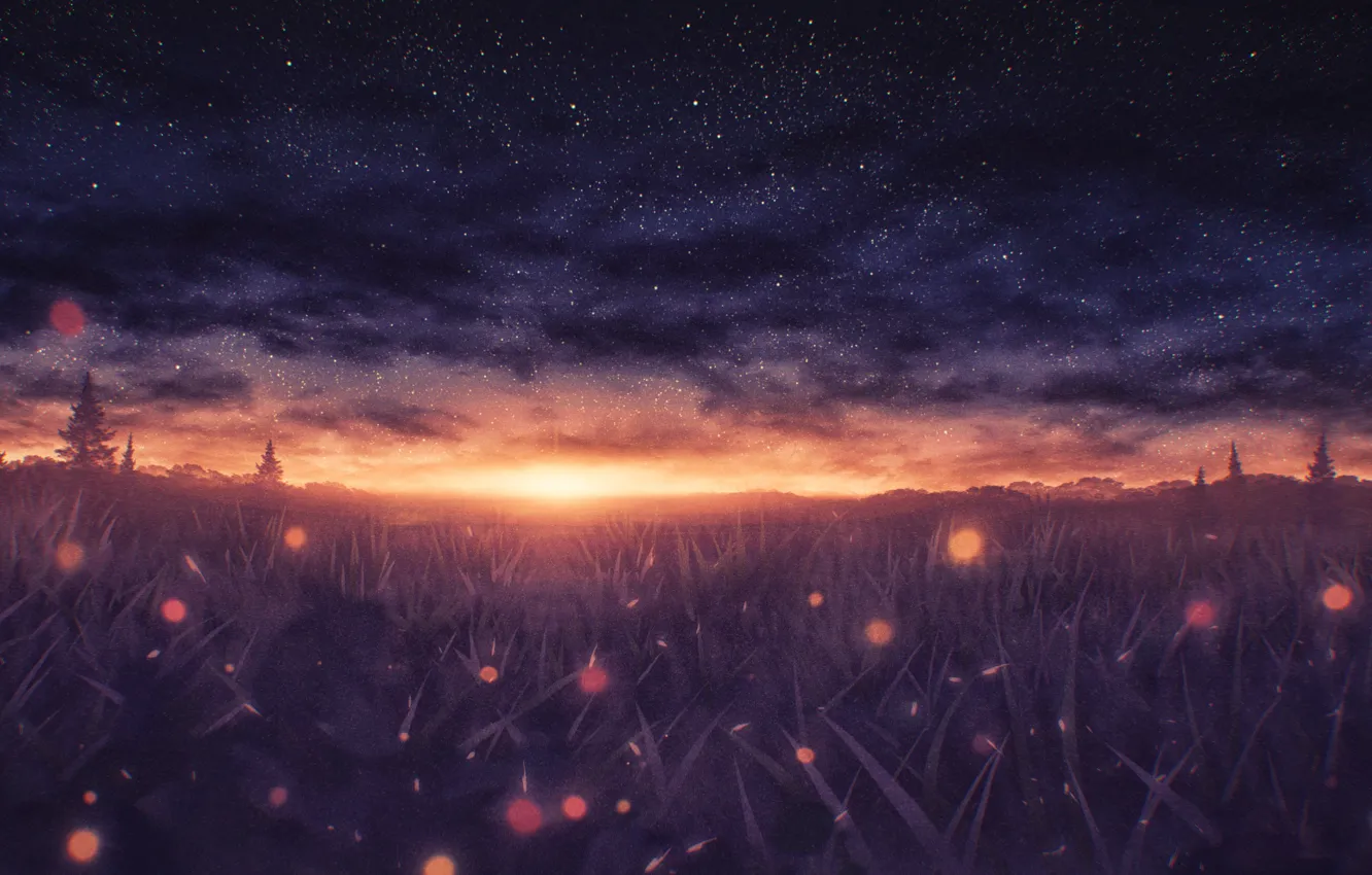 Photo wallpaper sunset, nature, fireflies