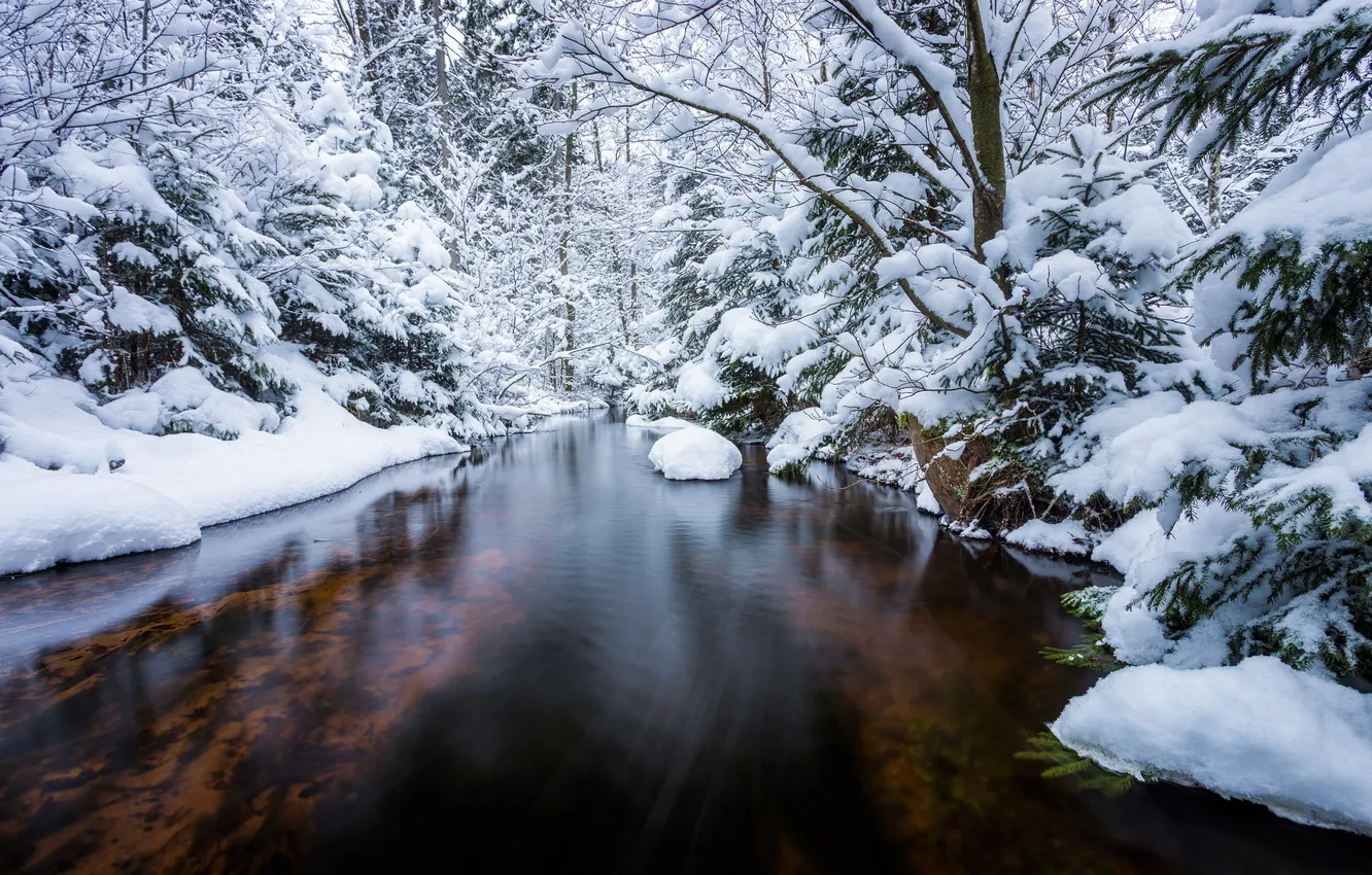 Photo wallpaper winter, snow, river