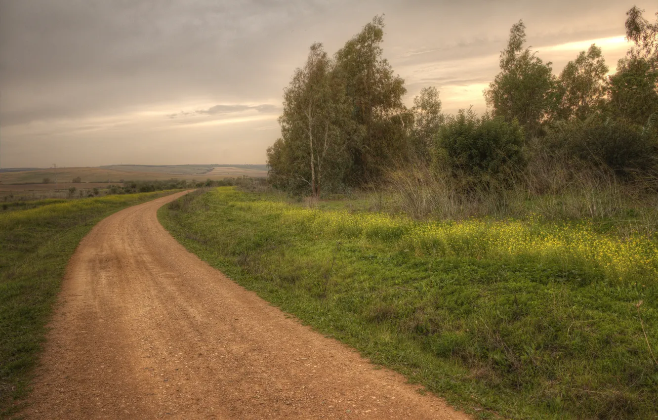 Photo wallpaper road, field, nature