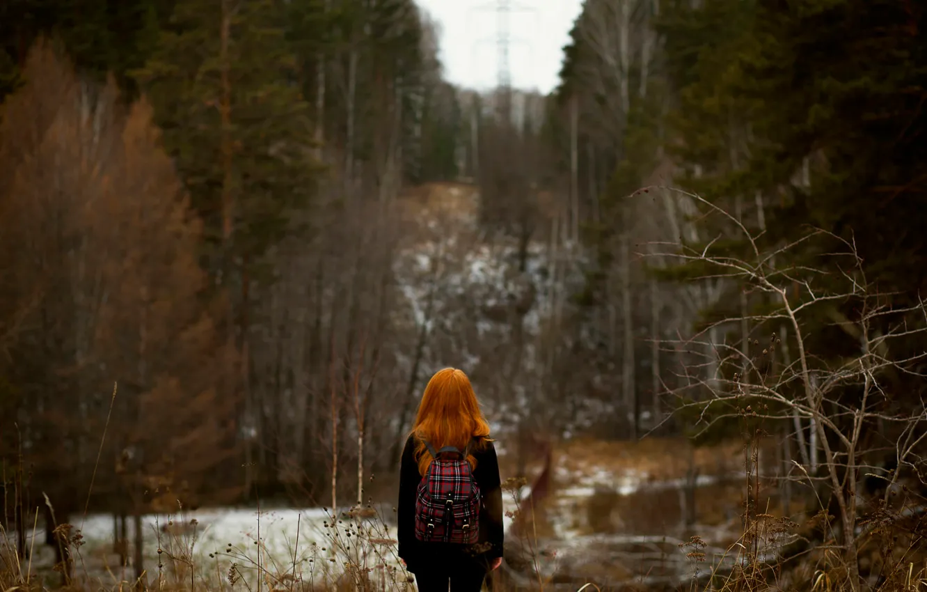 Photo wallpaper forest, bokeh, the red-haired girl, autumn.snow