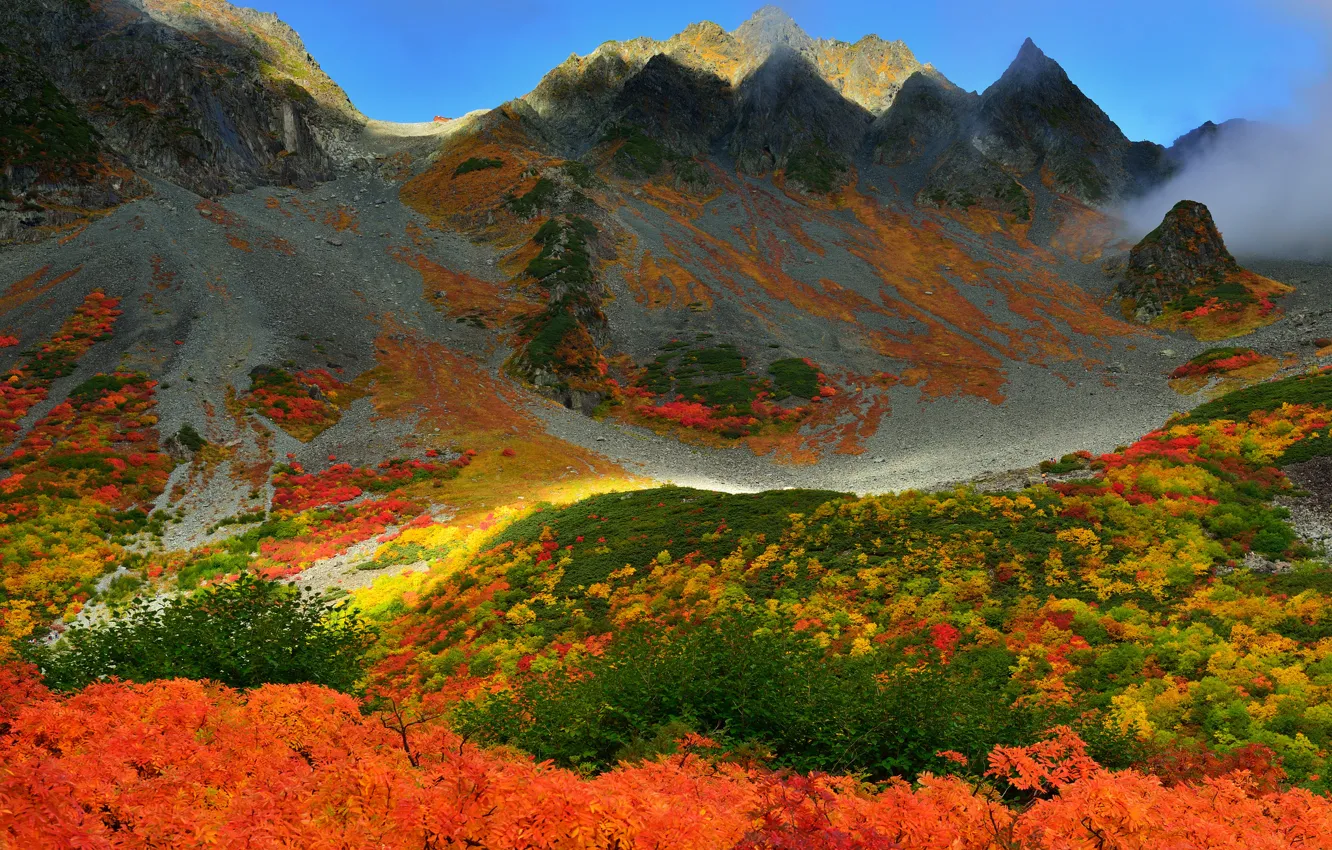 Photo wallpaper autumn, the sky, trees, mountains