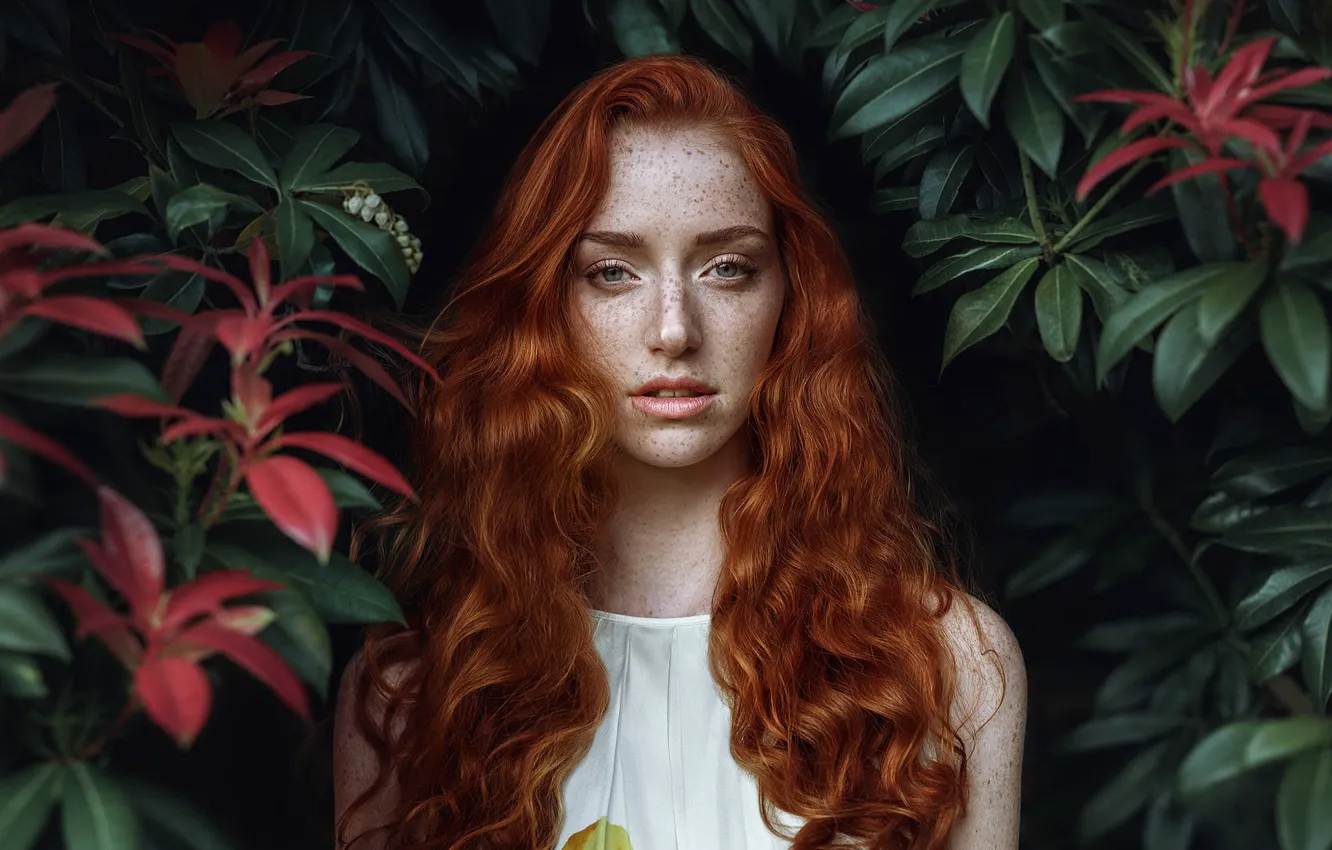 Photo wallpaper freckles, redhead, Olga Gridina, Noortje