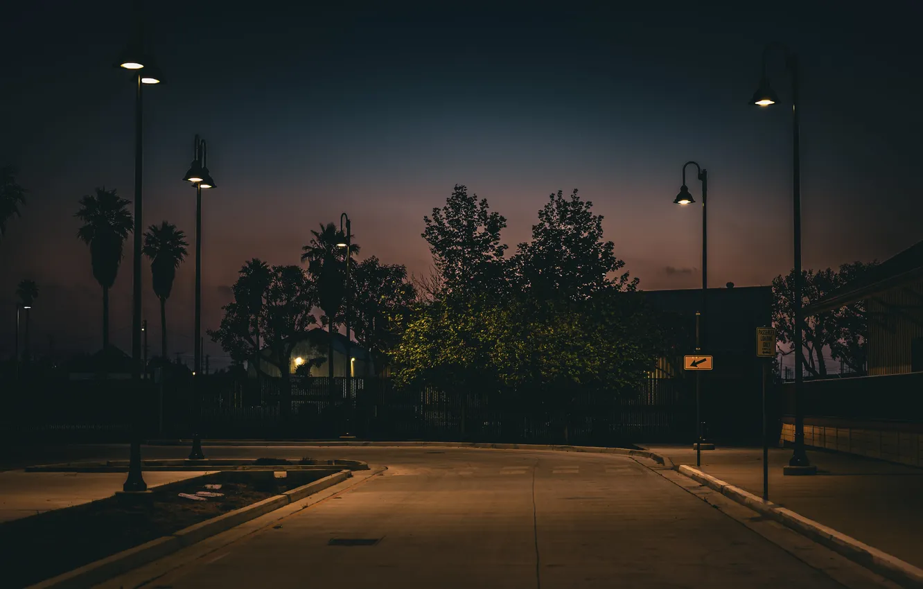 Photo wallpaper road, the sky, asphalt, trees, night, Park, home, the evening