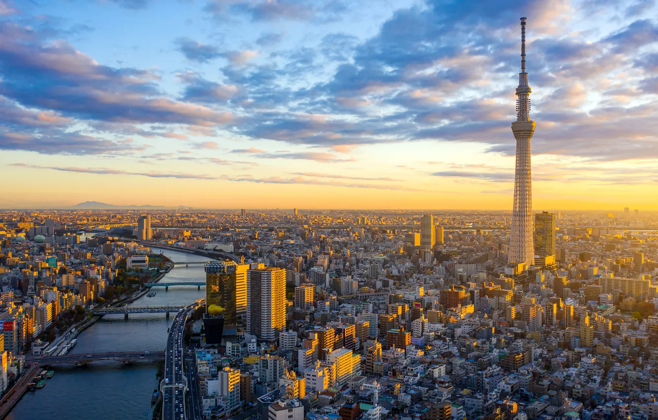 Photo wallpaper clouds, sunrise, Japan, horizon, Tokyo, Tokyo, Japan, skyline
