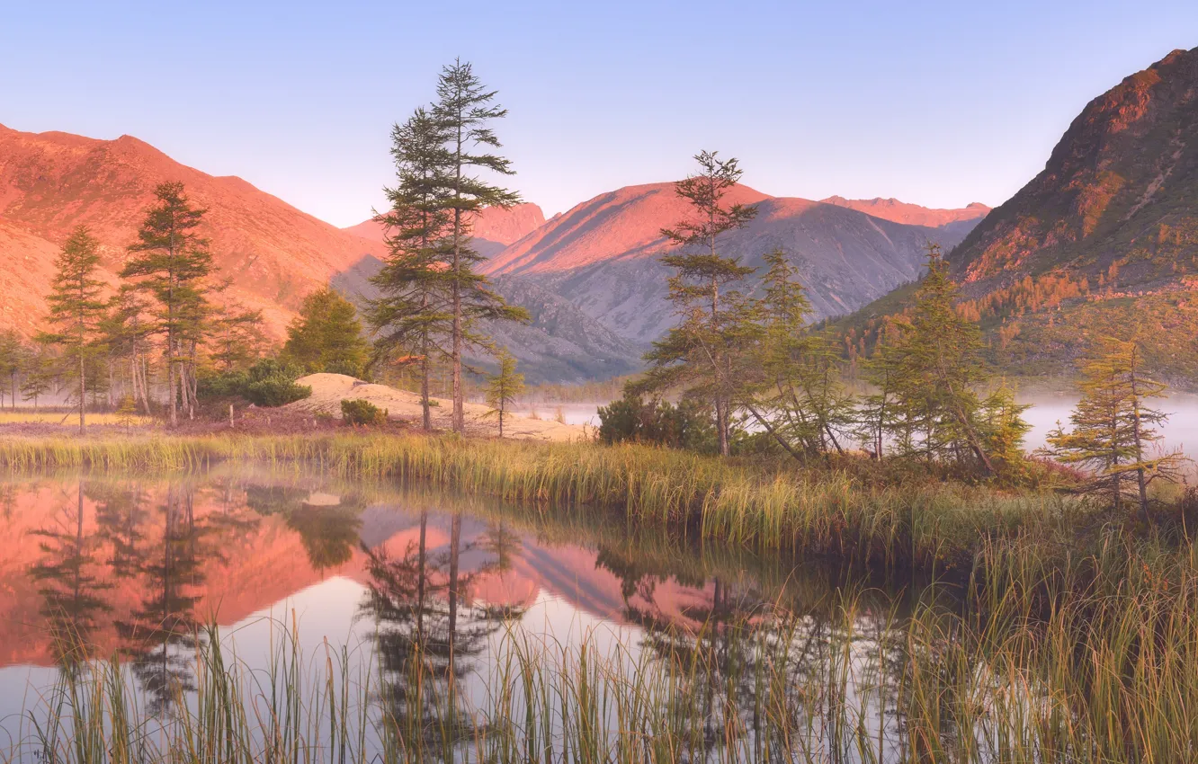 Photo wallpaper mountains, reflection, shore, morning, pine, pond
