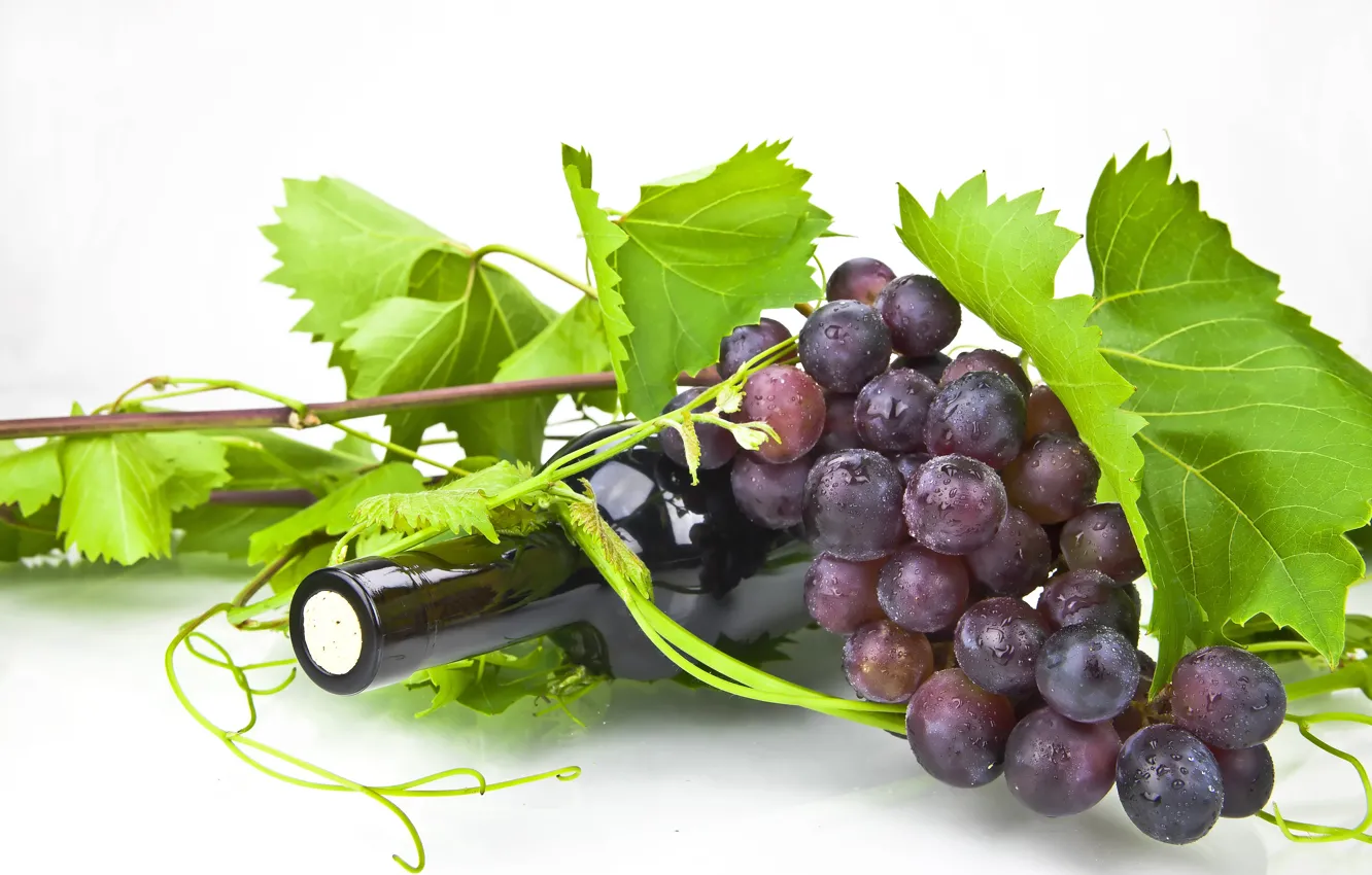Photo wallpaper leaves, wine, bottle, grapes, tube, vine