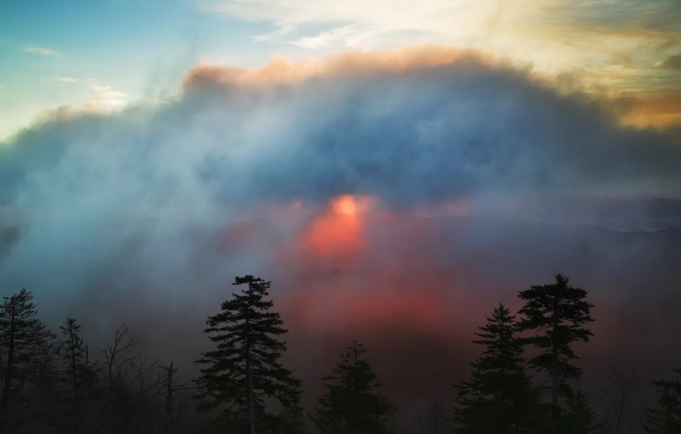 Photo wallpaper the sky, light, clouds, dawn, ate