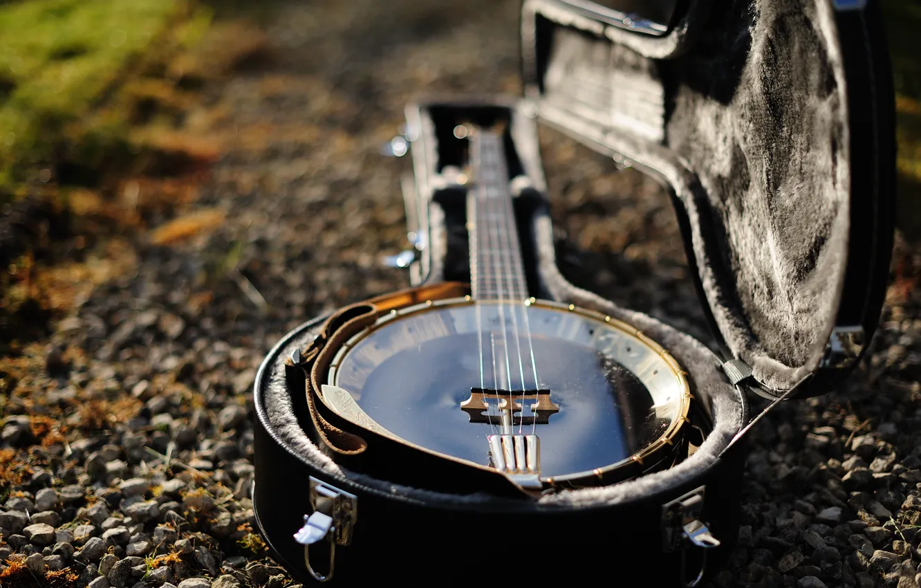 Photo wallpaper music, tool, banjo