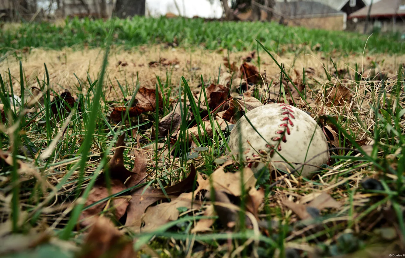 Photo wallpaper field, sports, baseball