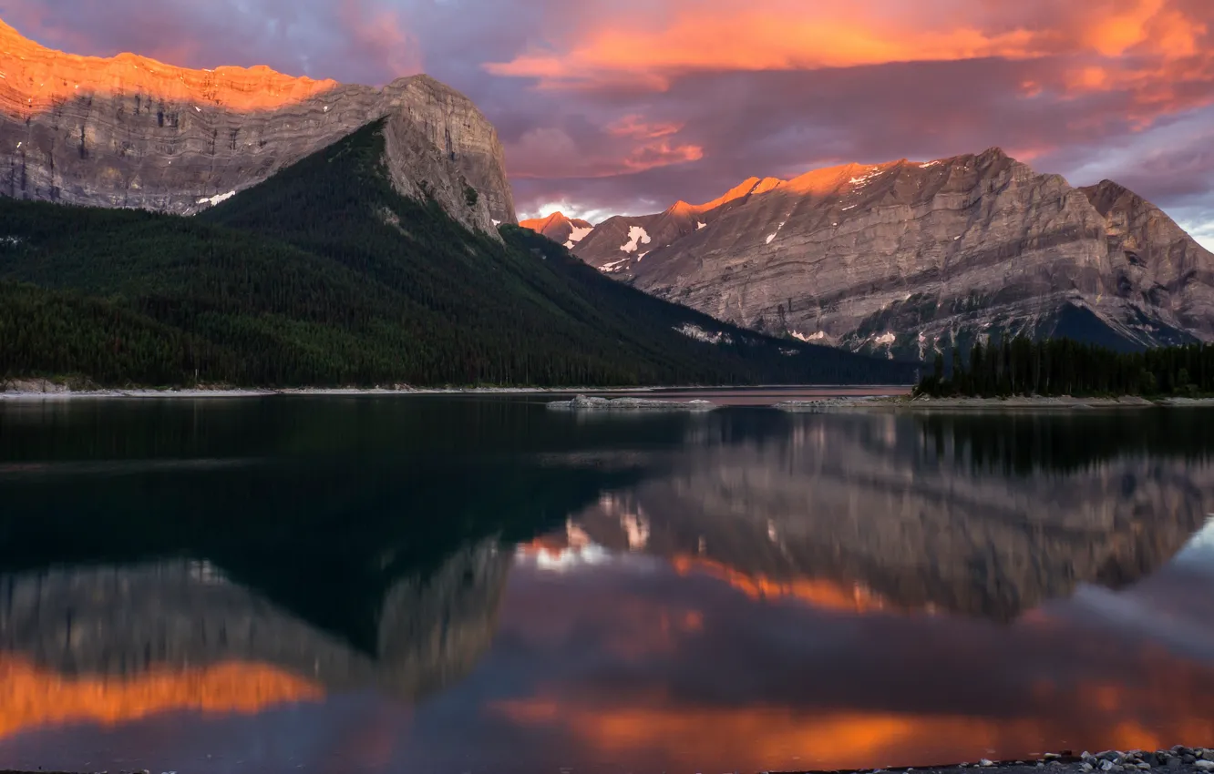 Photo wallpaper forest, the sky, clouds, light, landscape, sunset, mountains, nature