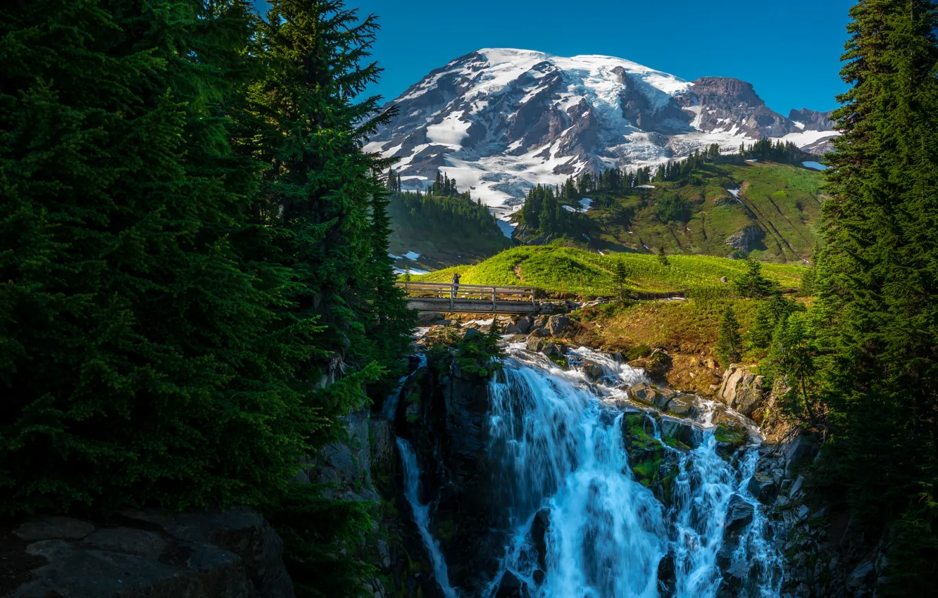 Photo wallpaper forest, mountains, bridge, waterfall, valley, cascade, National Park mount Rainier, Mount Rainier