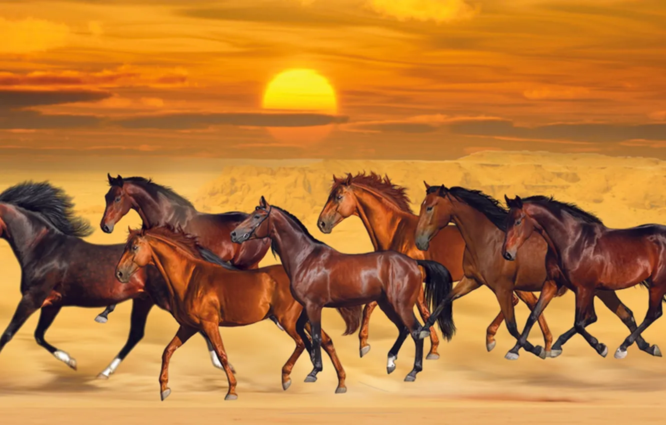 Photo wallpaper seven, sunset, beautiful, sand, horses, Running On Sea