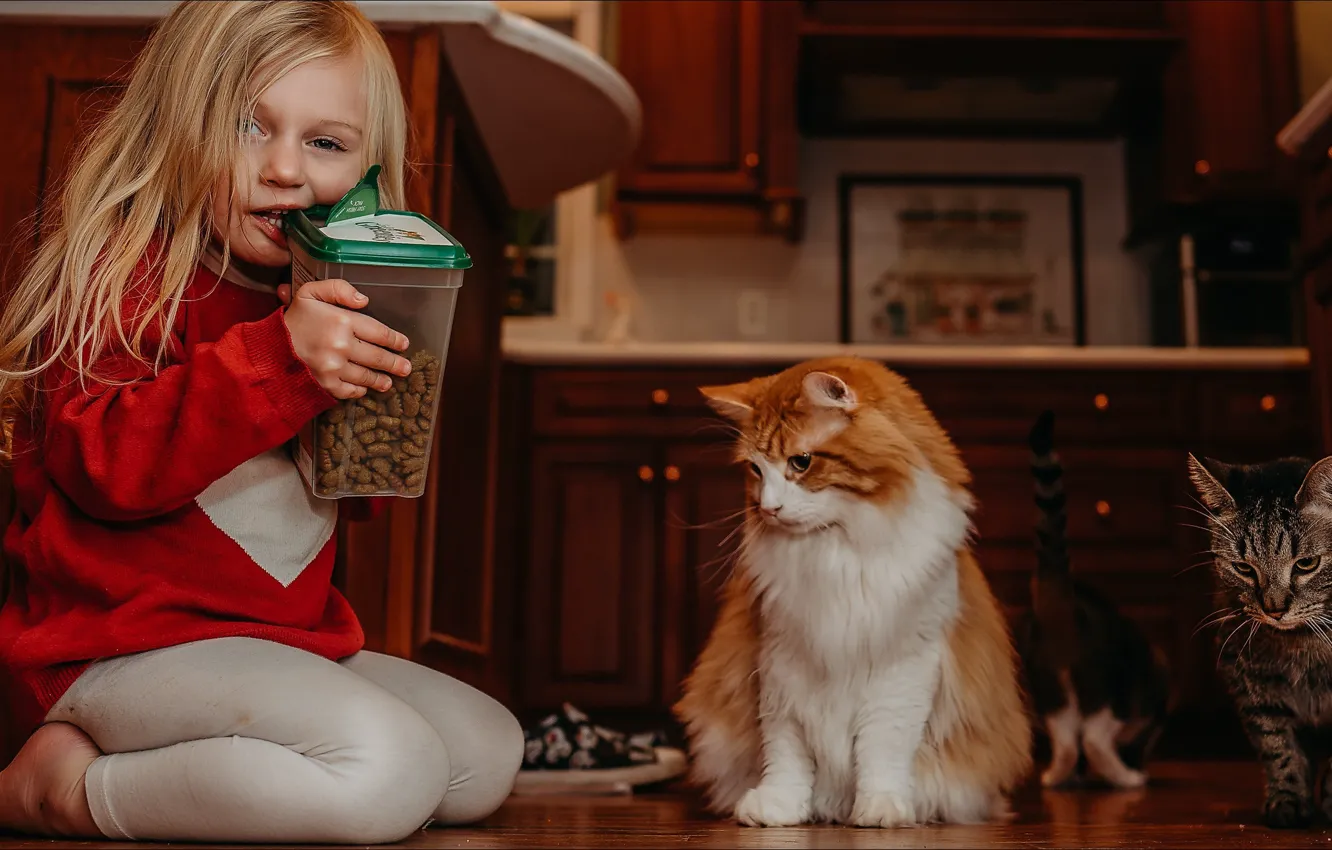 Photo wallpaper cat, kitchen, girl, girl, funny, cats, funny, situation